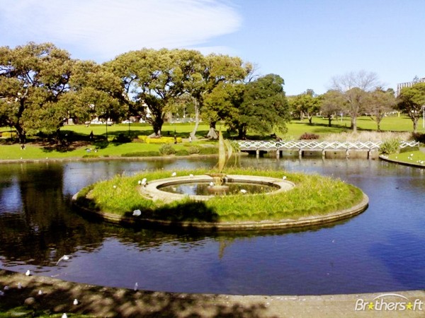 Vẻ đẹp của khu vườn cổ trong khuôn viên Đại học Sydney