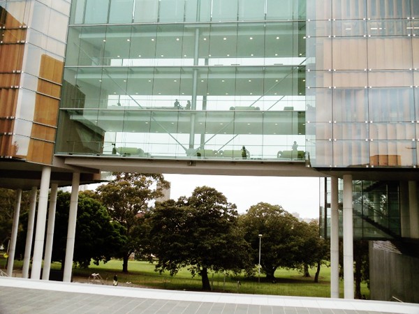 Vẻ đẹp của khu vườn cổ trong khuôn viên Đại học Sydney