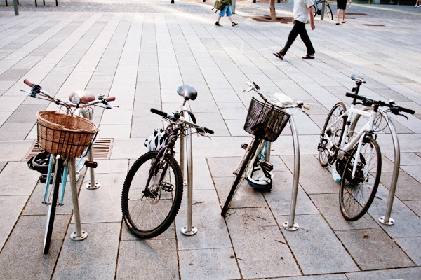 Vẻ đẹp của khu vườn cổ trong khuôn viên Đại học Sydney