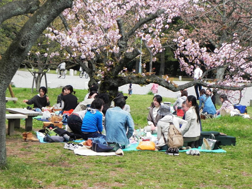 Giao tiếp với người Nhật dễ hay khó