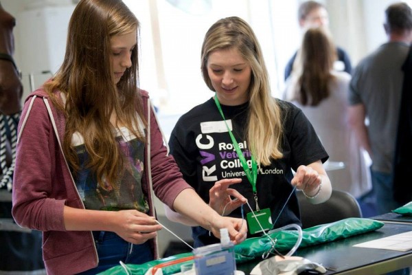 Đôi nét về trường cao đẳng Thú ý Hoàng gia