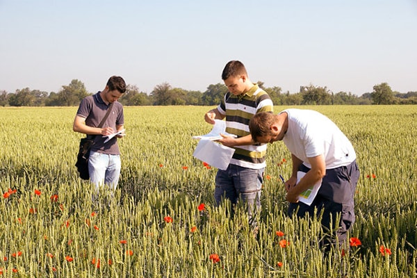 Du học Mỹ ngành Nông nghiệp