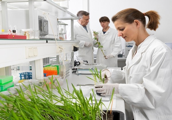 Nên chọn ngành nào khi du học tại Singapore? 2 Nên chọn ngành nào khi du học tại Singapore? 2