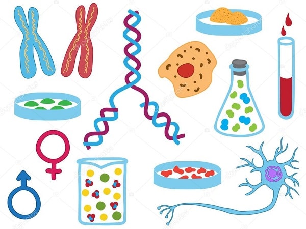 Sinh học cũng là một bộ môn vô cùng quan trọng