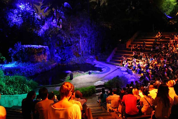 Vườn thú Night Safari Tận hưởng bầu không khí huyền ảo và hoang dã tại Night Safari