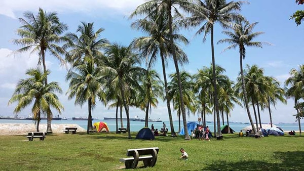 Công viên East Coast, Singapore Công viên East Coast nằm rất gần bờ biển, với những hàng cây xanh mướt mát