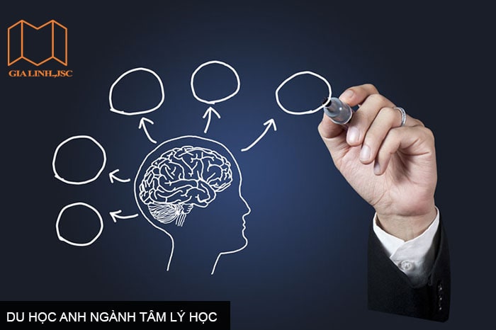 Du học Anh ngành Tâm lý học