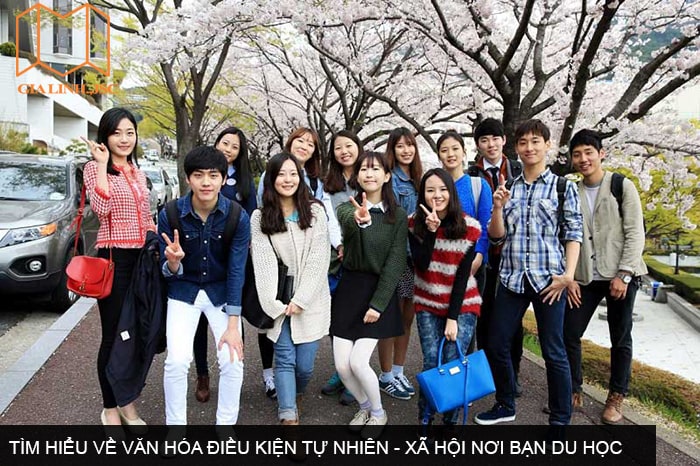 Tìm hiểu về văn hóa điều kiện tự nhiên - xã hội nơi bạn du học