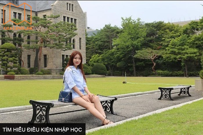 Tìm hiểu điều kiện nhập học