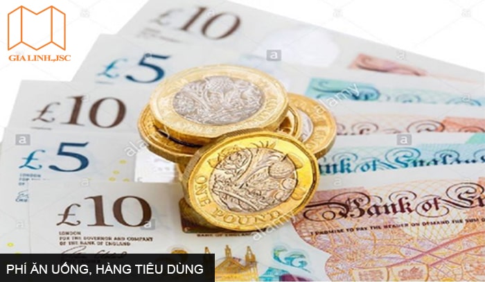 Phí ăn uống, hàng tiêu dùng