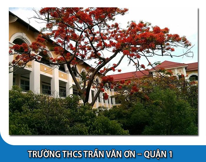 Trường Trần Văn Ơn - Quận 1 - Tp Hồ Chí Minh Trường Trần Văn Ơn - Quận 1 - Tp Hồ Chí Minh