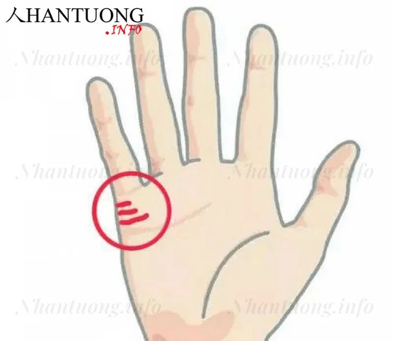 Làm sao để nhận diện tướng phụ nữ hai lần đò?