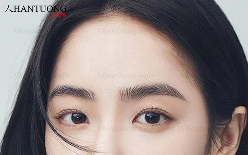 Tướng lông mày lá liễu thanh tú