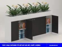 Địa Chỉ Bán Tủ Hồ Sơ Giá Rẻ - Nội Thất Đức Khang DKF